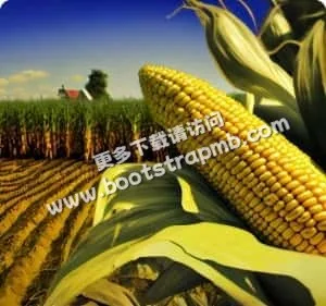 为您提供稳定流畅的电竞体验 - 竞技宝APP下载